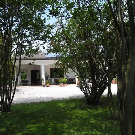 Bed & Breakfast Miani Silea