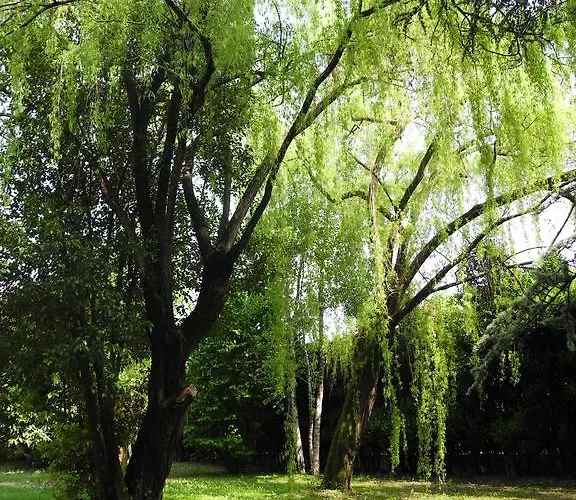 Miani Bed & Breakfast Silea