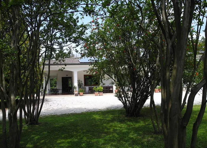 Bed & Breakfast Miani Silea