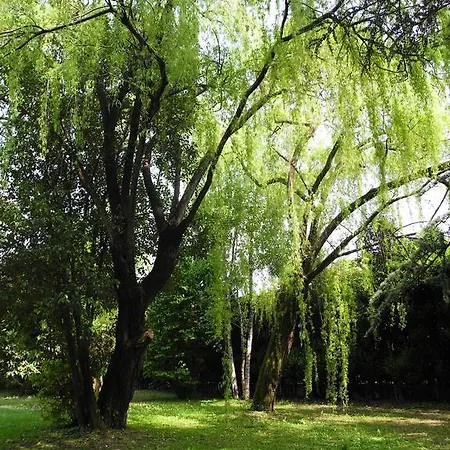 Miani Bed & Breakfast Silea